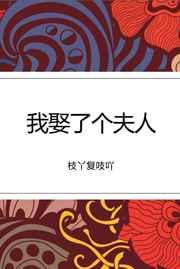 我娶了个夫人